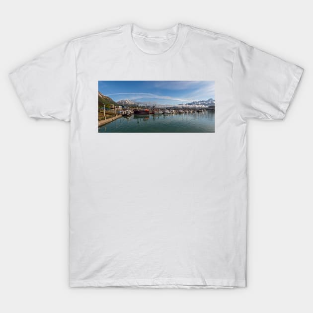 Seward Panorama T-Shirt by andykazie